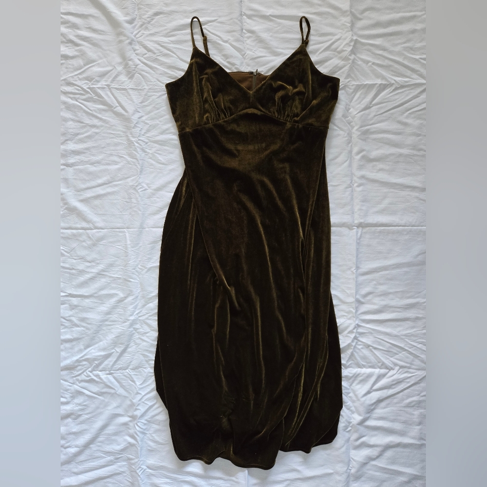 Elegant Velvet Dress